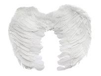 Klienci, których interesował ten produkt, oglądali też