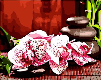 Artnapi 40x50cm Malowanie Po Numerach - Różowa orchidea - Na Drewnianej Ramie - artnapi