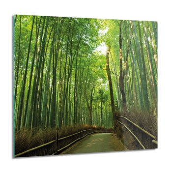 ArtprintCave, Bambus las trawy Obraz na szkle na ścianę, 60x60 cm - ArtPrintCave