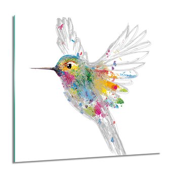 ArtprintCave, Koliber ptak grafika do kuchni foto szklane, 60x60 cm - ArtPrintCave