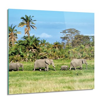 ArtprintCave, Obraz na szkle, Rodzina słoni palmy, 60x60 cm - ArtPrintCave