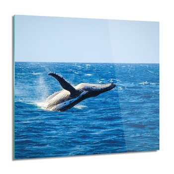 ArtprintCave, Obraz na szkle, Wieloryb w oceanie, nowoczesne, 60x60 cm - ArtPrintCave