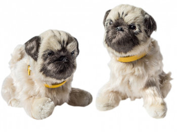 Askato, maskotka interaktywna Piesek - Mops