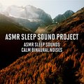 ASMR Sleep Sounds - Calm Binaural Noises - ASMR Sleep Sound Project