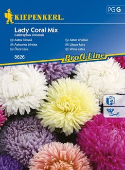 Aster chiński Lady Coral Mix Callistephus chinensis - KIEPENKERL
