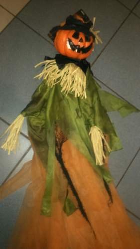 Aster, dekoracja na Halloween, Pan Dynia