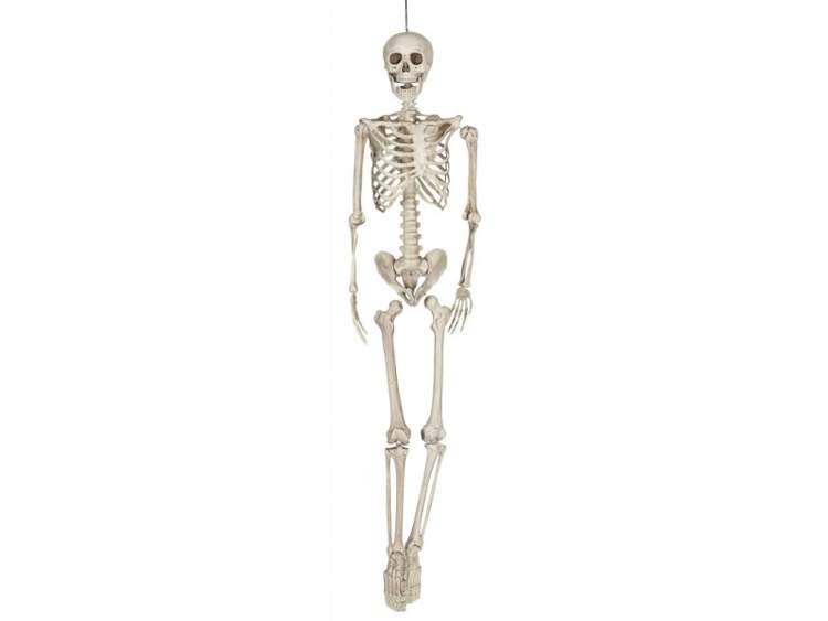 Aster, dekoracja na Halloween, szkielet