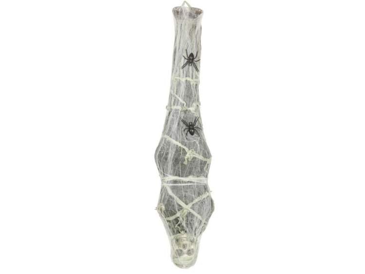 Aster, dekoracja na Halloween, szkielet w kokonie