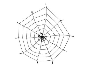 Aster, pajęczyna z pająkiem - Aster