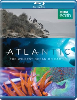 Atlantic - The Wildest Ocean On Earth (brak polskiej wersji językowej)