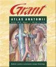 Atlas anatomii  - Agur Anne M.R.
