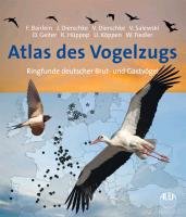 Atlas des Vogelzugs Dierschke Jochen, Dierschke Volker, Fiedler Wolfgang, Salewski Volker, Huppop Kathrin, Koppen Ulrich, Bairlein Franz, Geiter Olaf