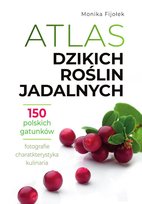 Atlas dzikich roślin jadalnych Fijołek Monika