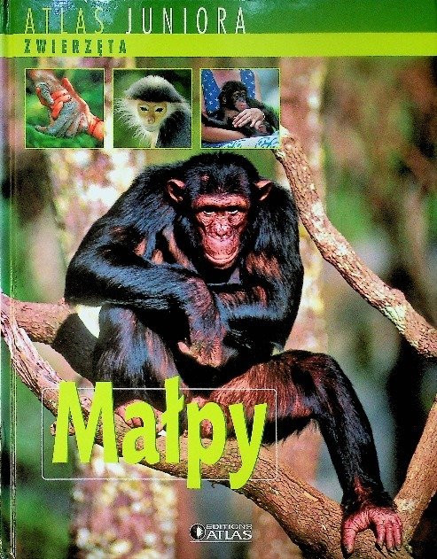 Atlas juniora Małpy - W opisie | Książka w Empik