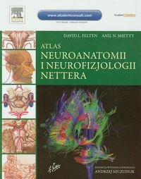 Atlas neuroanatomii i neurofizjologii Nettera - Felten David L., Shetty Anil N.