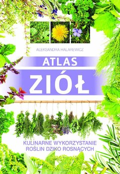 Atlas ziół. Kulinarne wykorzystanie roślin dziko rosnących - Halarewicz Aleksandra