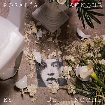 Aunque Es De Noche - Rosalía