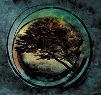 Inne tego dystrybutora