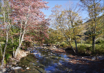 Autumn along the Robbins Branch creek, a tributary of the White River near Ripton, Vermont., Carol Highsmith - plakat 42x29,7 cm - Galeria Plakatu
