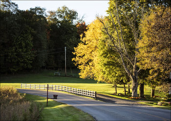 Autumn is upon you in rural Knox County, Ohio, near Danville, Carol Highsmith - plakat 42x29,7 cm - Galeria Plakatu