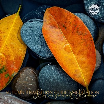 Autumn Transition Guided Meditation: Release and Renew, Meditation for Autumn 2022, Calming Autumn Music for Healing Meditation, Autumn Nature Sounds, Autumn Nature Meditation - Healing Meditation Zone