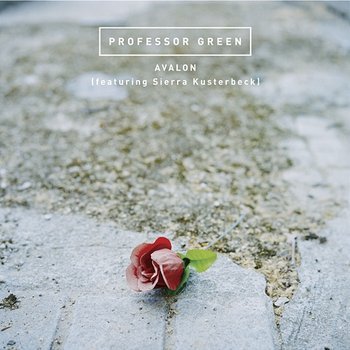 Avalon - Professor Green feat. Sierra Kusterbeck