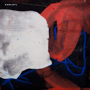 Axolotl, płyta winylowa - Lotto