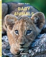 Baby Animals - Poliza Michael