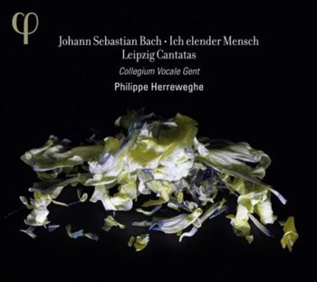 Bach: Ich Elender Mensch - Collegium Vocale Gent, Herreweghe Philippe