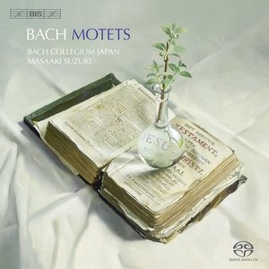 Bach Motets - Various Artists