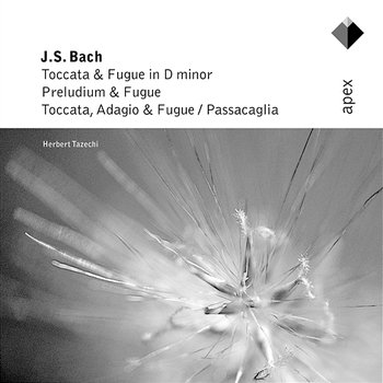 Bach: Toccata and Fugue in D Minor, Prelude and Fugue, Toccata, Adagio and Fugue & Passacaglia - Herbert Tachezi
