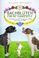 Bachblüten für die Hundeseele - Brehmer Marion