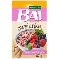 Bakalland, owsianka owoce leśne, 47 g Bakalland