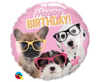 Balon Foliowy 18" Ql Birthday Puppies With Eyeglasses - Qualatex