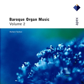 Baroque Organ Music Vol.2 - Herbert Tachezi