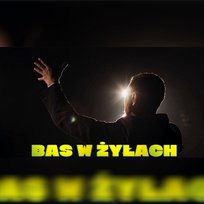 Bas w żyłach Polo Vibes