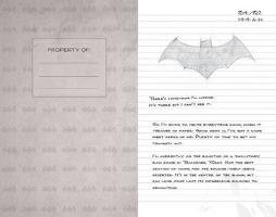Batman Hardcover Ruled Journal - Manning Matthew K.