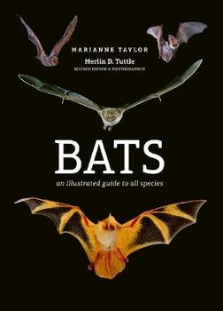 Bats: An illustrated guide to all species - Taylor Marianne