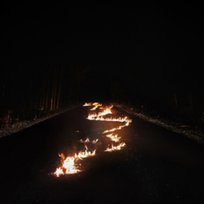 Battle Lines Bob Moses