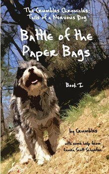 Battle of the Paper Bags - Laura Scott Schaefer