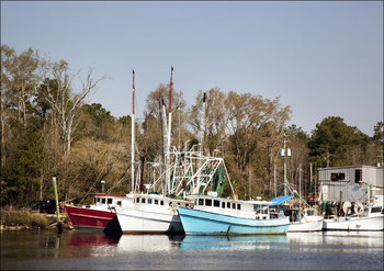 Bayou La Batre is a fishing village with a seafood-processing harbor for fishing boats and shrimp boats, Carol Highsmith - plakat 29,7x21 cm - Galeria Plakatu
