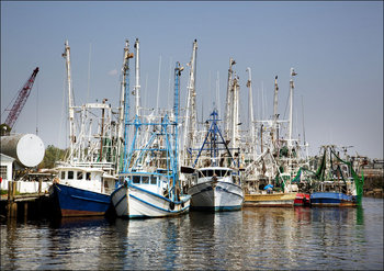 Bayou La Batre is a fishing village with a seafood-processing harbor for fishing boats and shrimp boats., Carol Highsmith - plakat 42x29,7 cm - Galeria Plakatu