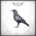 Be 3 - Kruk