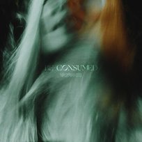 Be Consumed The Vagrants