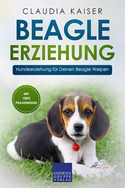 Beagle Erziehung: Hundeerziehung fur Deinen Beagle Welpen - Claudia ...