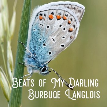 Beats of My Darling - Burbuqe Langlois