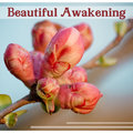 Beautiful Awakening: Relaxing Moments, Healing Meditation & Yoga Time, Stress Relief Music, Deep Massage - Healing Touch Zone