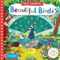 Beautiful Birds Macmillan Children's Books