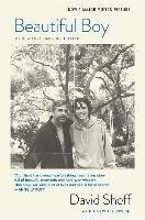 Beautiful Boy (Tie-In): A Father's Journey Through His Son's Addiction Sheff David