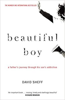 Beautiful Boy - Sheff David